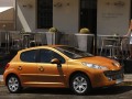 PEUGEOT 207 2006-2012 HB/SW CHLAPACZE OEM