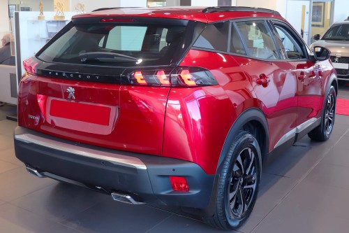 PEUGEOT 2008 II 2019+ CHLAPACZE